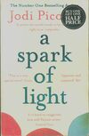  Achetez le livre d'occasion A Spark of Light : The Number One Sunday Times Bestseller sur Livrenpoche.com 