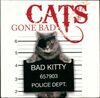  Achetez le livre d'occasion Cats gone bad sur Livrenpoche.com 