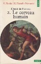  Achetez le livre d'occasion L'Unité de l'homme Tome II : Le cerveau humain de Massimo Piattelli-Palmarini sur Livrenpoche.com 