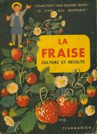  Achetez le livre d'occasion La fraise culture et récolte sur Livrenpoche.com 