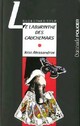  Achetez le livre d'occasion Le labyrinthe des cauchemars de Jean Alessandrini sur Livrenpoche.com 