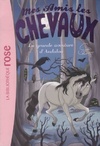  Achetez le livre d'occasion Mes amis les chevaux Tome XXI : La grande aventure d'andalou sur Livrenpoche.com 