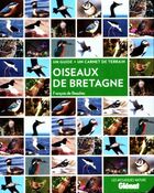  Achetez le livre d'occasion Oiseaux de Bretagne sur Livrenpoche.com 
