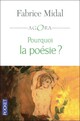  Achetez le livre d'occasion Pourquoi la poésie ? de Fabrice Midal sur Livrenpoche.com 